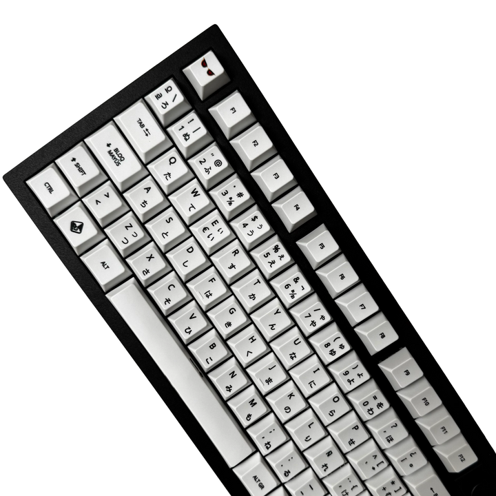 Black and white keyboard on a white background