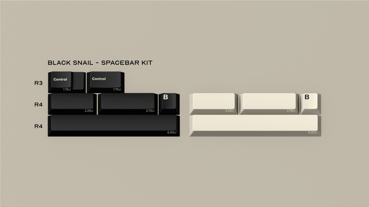 GMK CYL BLACK SNAIL - ELOQUENT CLICKS