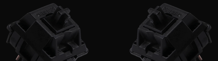 Linear Switches