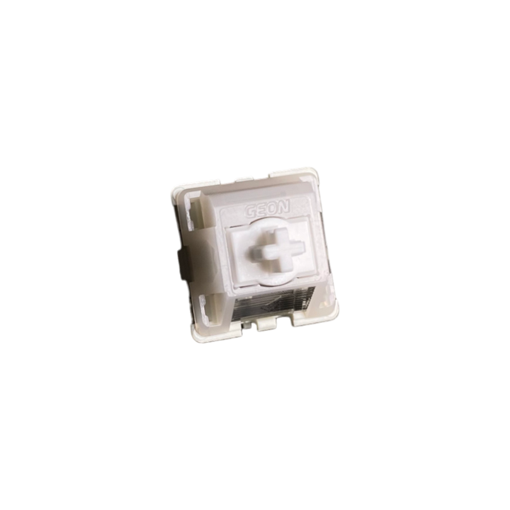 GEON HE RAW SWITCHES