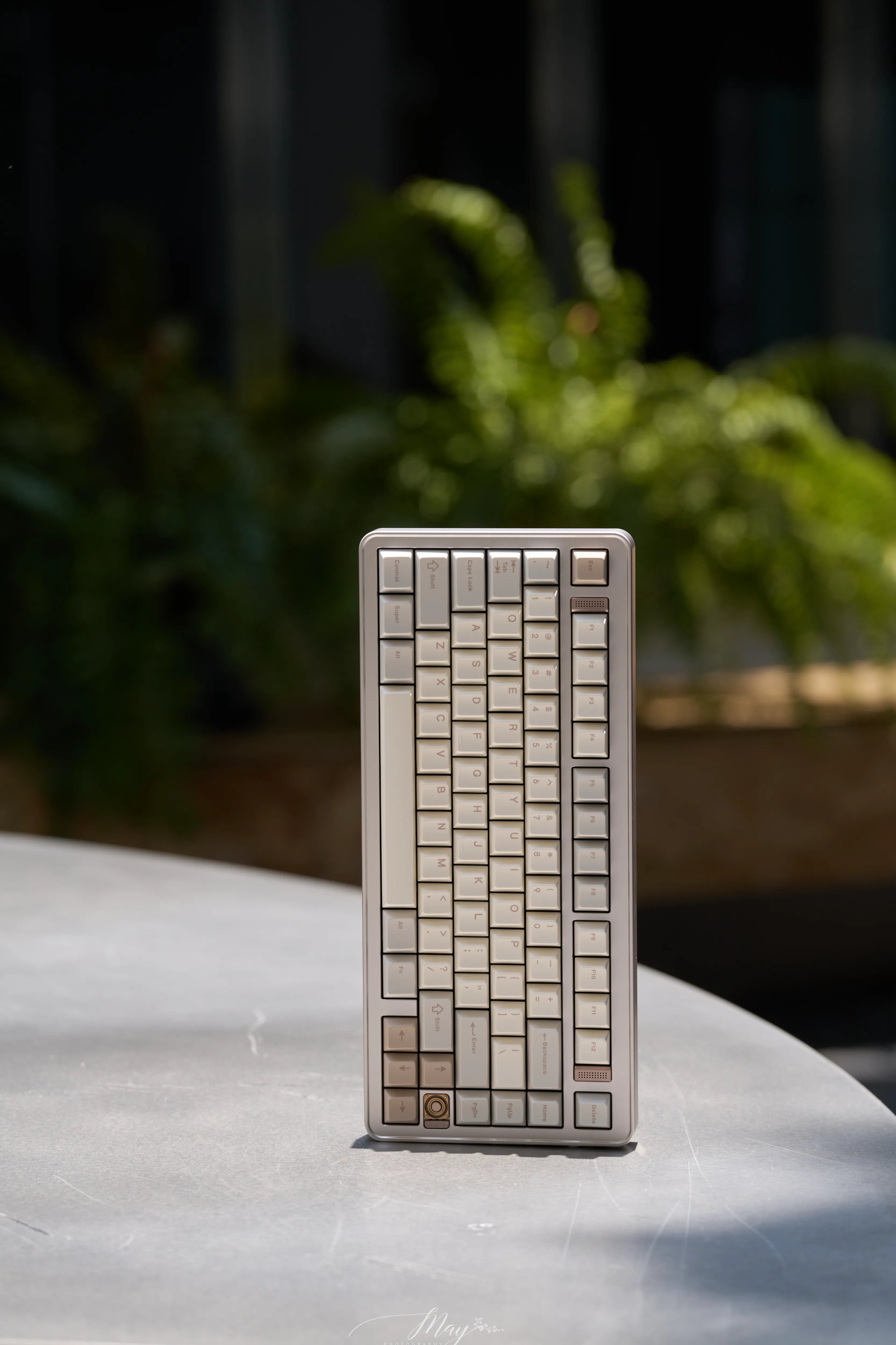 Small rectangular metal object with a geometric pattern on a reflective surface with plants in the background