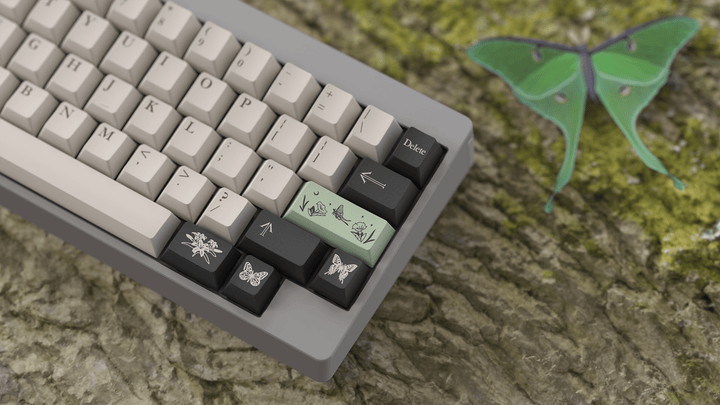 [GB] MW PAVILLION - ELOQUENT CLICKS